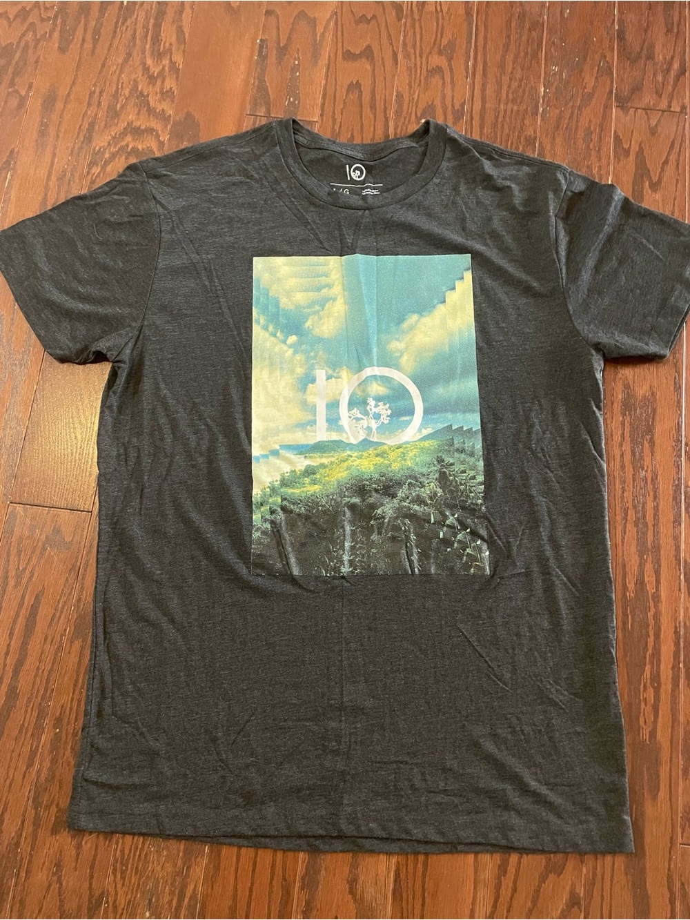 Tentree 10 Tree Men’s T Shirt Large Men’s Black Graphic Short-Sleeve Tee